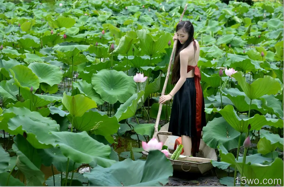 女性 亚洲 女孩 Vietnamese Pond 船 花 叶子 莲花 Punt-Pole 高清壁纸