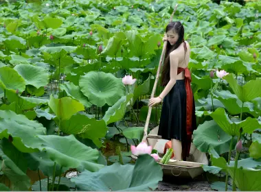 女性 亚洲 女孩 Vietnamese Pond 船 花 叶子 莲花 Punt-Pole 高清壁纸 7358x4842