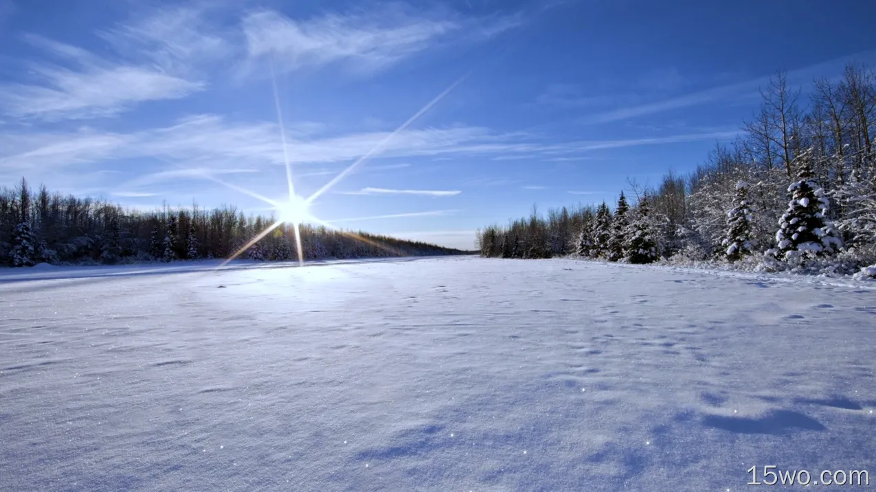 自然 冬季 风景 大自然 Sunny 白色 Snow 高清壁纸