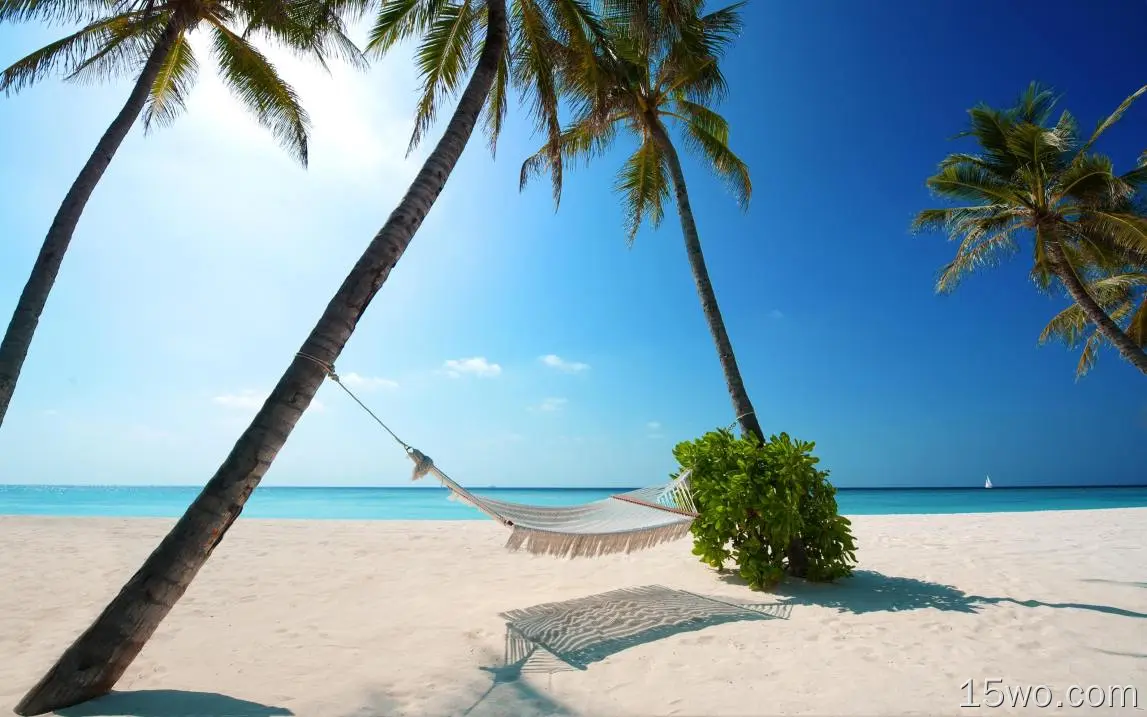 吊床、海滩、棕榈树、热带、海洋