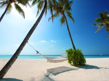 吊床、海滩、棕榈树、热带、海洋 2560x1600