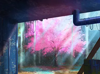 动漫 原创 Sakura 树 高清壁纸 3508x2480