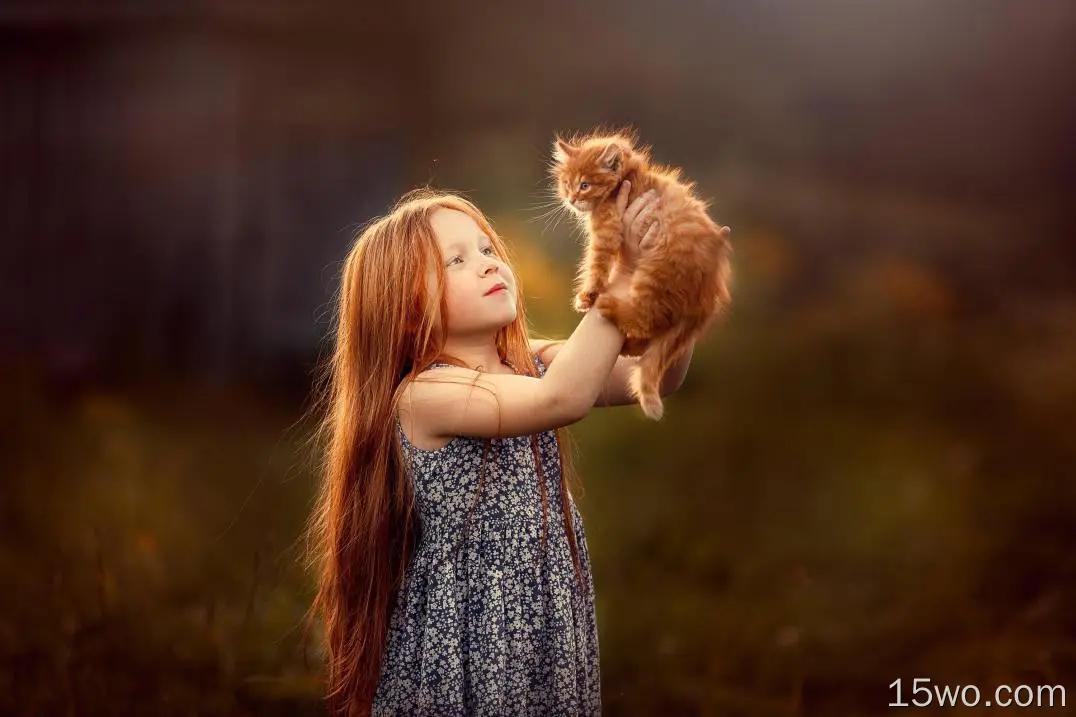 摄影 儿童 女孩 猫 Kitten Baby Animal Redhead Long Hair Little Girl 高清壁纸