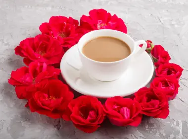 食物 咖啡 Cup 花 Red Flower 饮品 高清壁纸 5184x3456