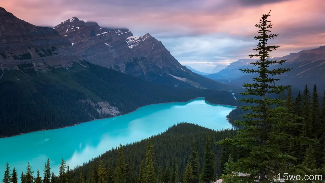 班夫国家公园，加拿大，山，树，蓝水