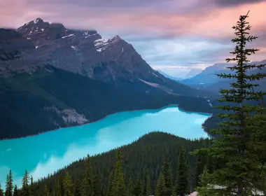 班夫国家公园，加拿大，山，树，蓝水 3840x2160