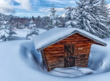 小屋、棚、雪、树 4500x3000