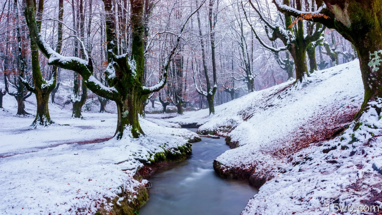 自然 溪流 大自然 冬季 森林 Snow 树 高清壁纸