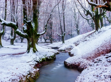 自然 溪流 大自然 冬季 森林 Snow 树 高清壁纸 3840x2160