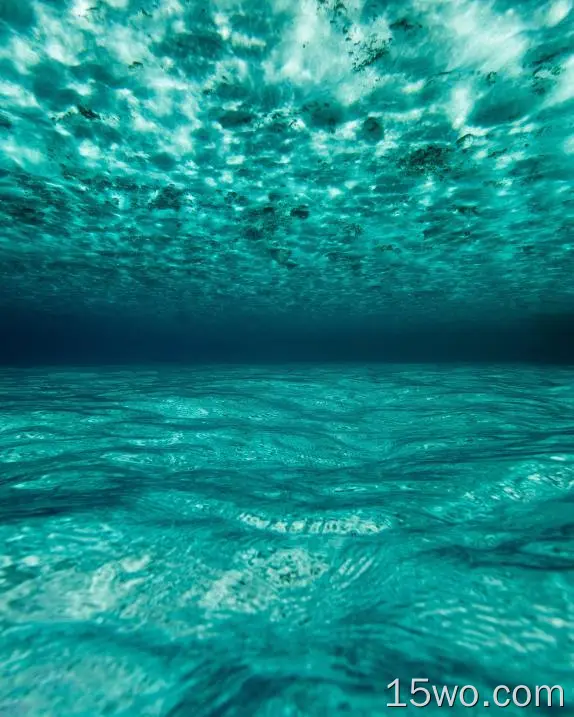 马尔代夫，海洋，水下，蓝色