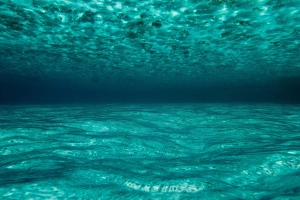 马尔代夫，海洋，水下，蓝色  2846x3557