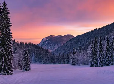 自然 冬季 Snow 风景 高清壁纸 3840x2160