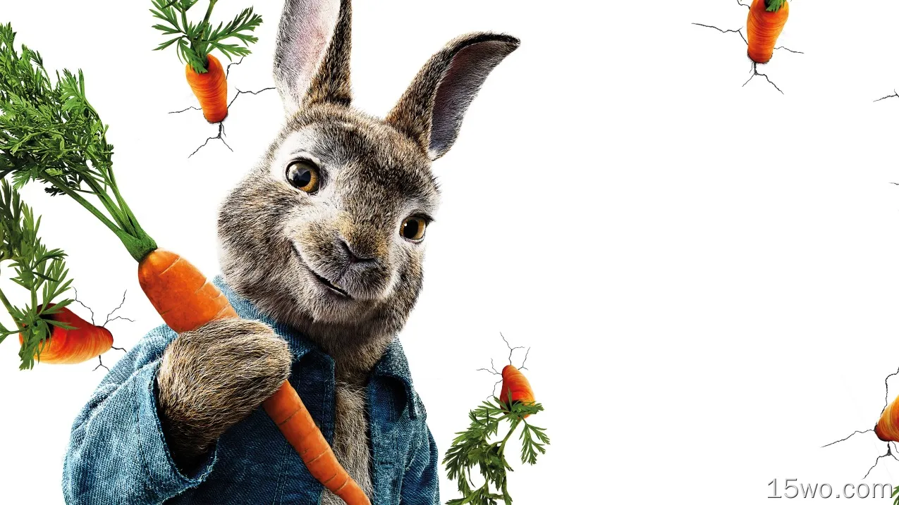 电影 Peter Rabbit 兔子 Carrot 高清壁纸