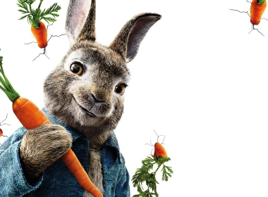 电影 Peter Rabbit 兔子 Carrot 高清壁纸 3840x2160