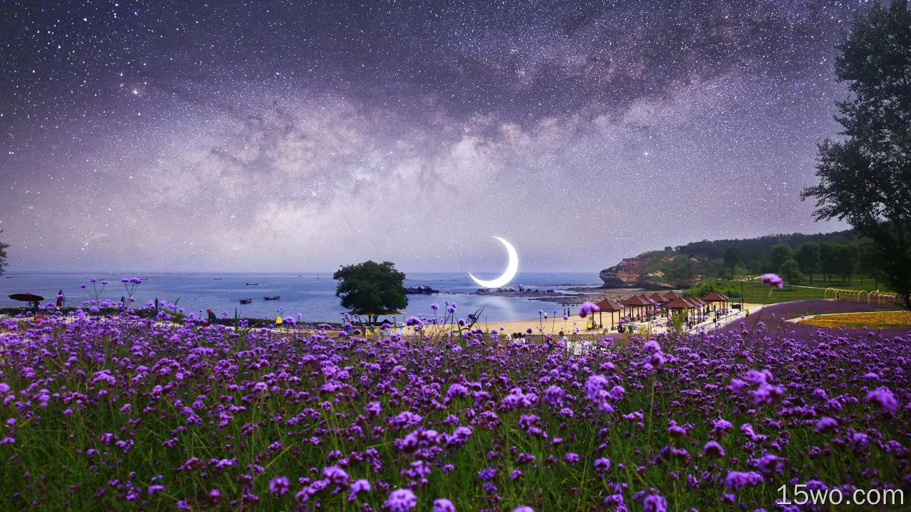 摄影 摄影后期 Purple Flower Starry Sky Crescent 海滩 高清壁纸