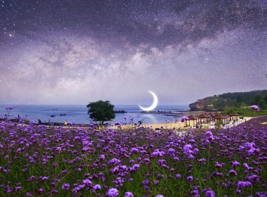 摄影 摄影后期 Purple Flower Starry Sky Crescent 海滩 高清壁纸 5120x2880