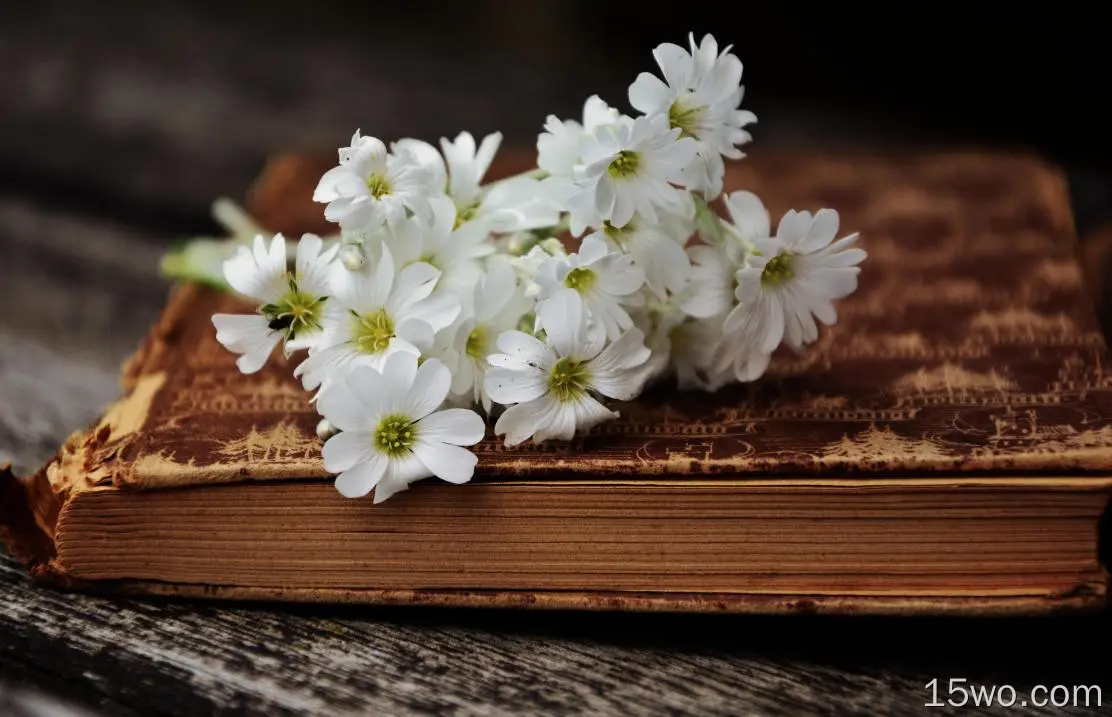 白花，旧书