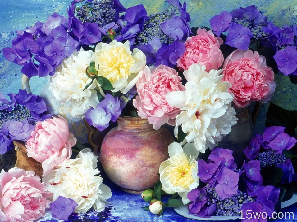美丽的花 牡丹, 绣球花, 花卉, 绘画, 水罐, 花