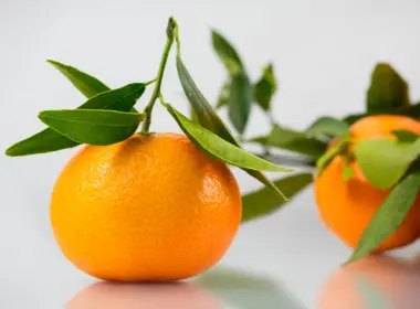 橘子、树叶、水果 4848x2727