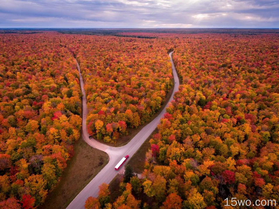 人造 路 森林 Michigan USA 高清壁纸