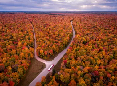 人造 路 森林 Michigan USA 高清壁纸 2700x2025