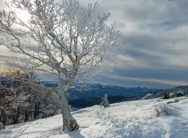 霜、树、雪、冬、山 3840x2160