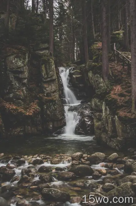 瀑布、森林、放松、石头
