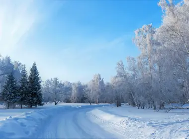 自然 冬季 Snow 森林 树 高清壁纸 5616x3736