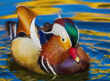 动物 鸳鸯 鸟 鸭 艺术 高清壁纸 3840x2160