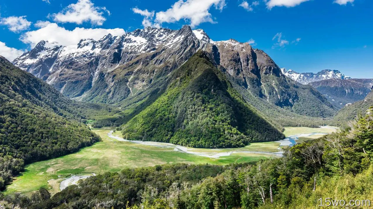 新西兰，山谷，风景，美丽，森林
