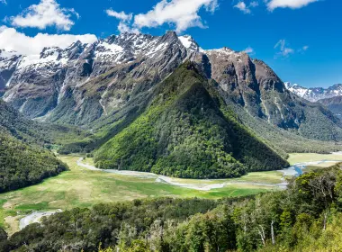 新西兰，山谷，风景，美丽，森林 2560x1440