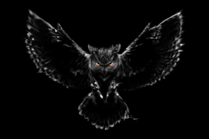 欧亚猫头鹰鹰,小猫头鹰,神秘的生物,超自然的生物,翼,壁纸,3840x2160  3840x2160