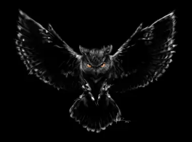 欧亚猫头鹰鹰,小猫头鹰,神秘的生物,超自然的生物,翼,壁纸,3840x2160 3840x2160