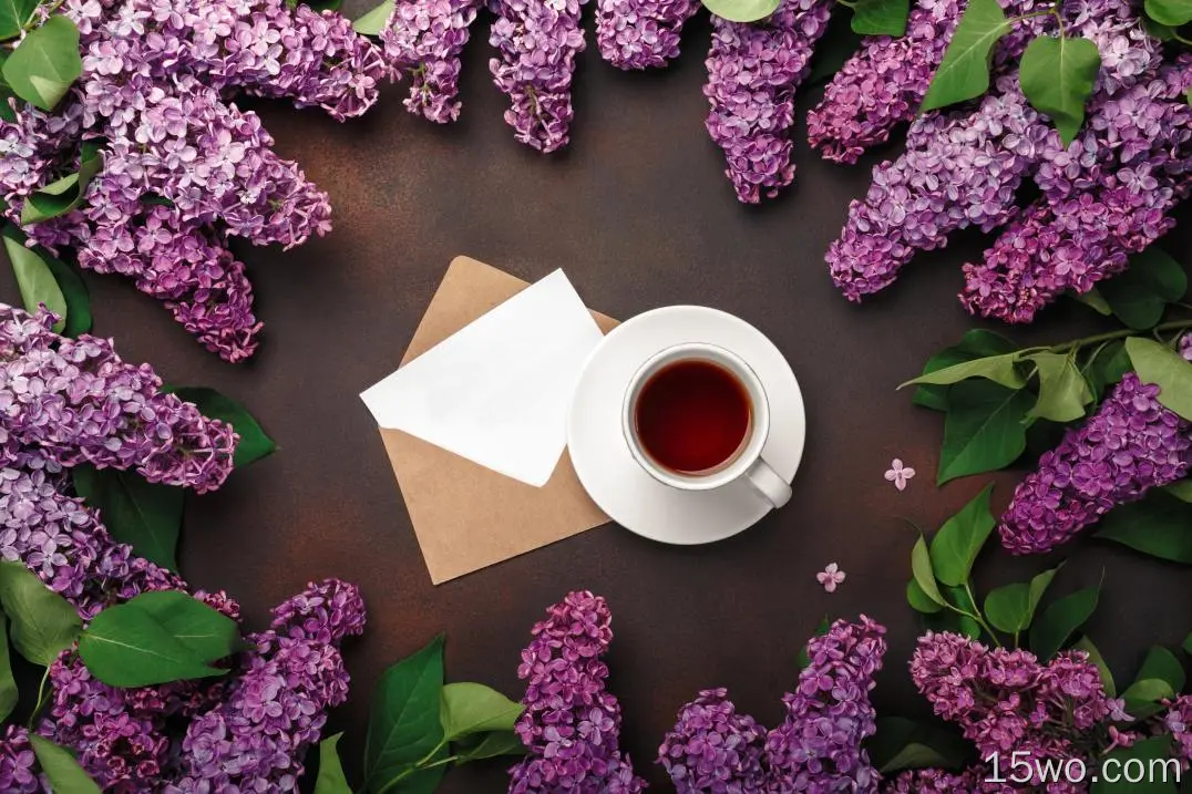 食物 茶 花 丁香 Cup Purple Flower 饮品 高清壁纸