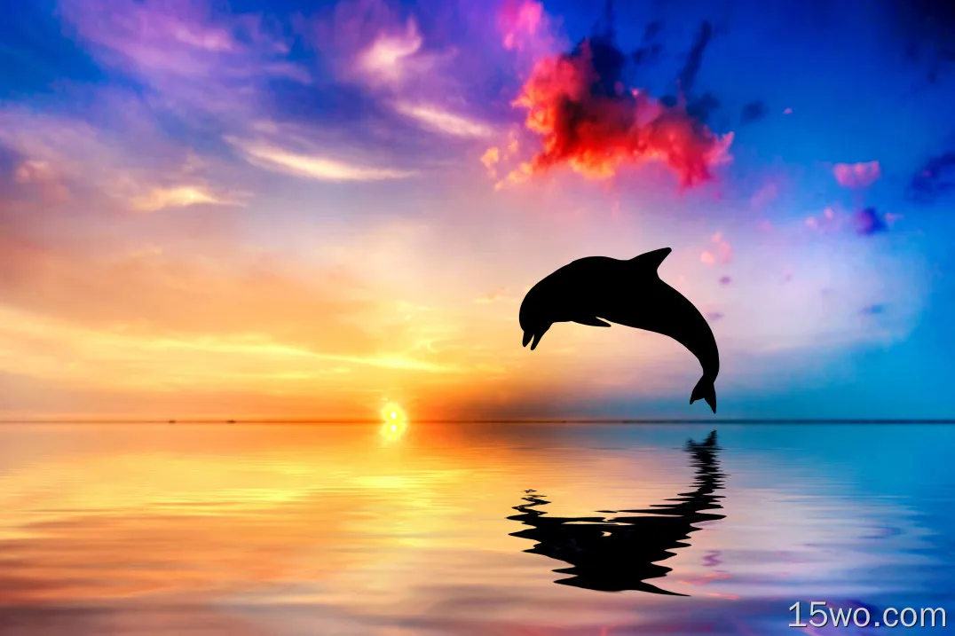 海豚跳出水面日落视图4k壁纸