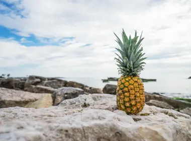 菠萝、水果、岩石、海洋 6000x4000