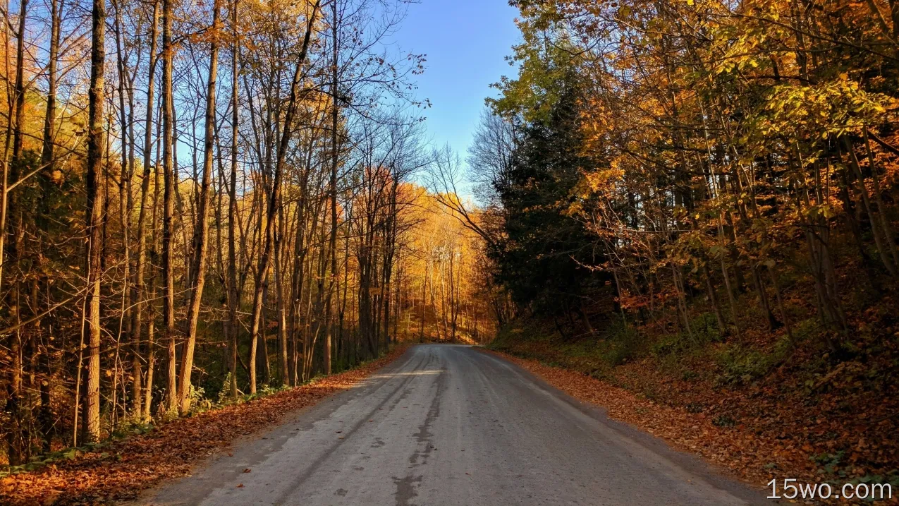 秋天，道路，树木，秋天，阳光，天空，黄叶
