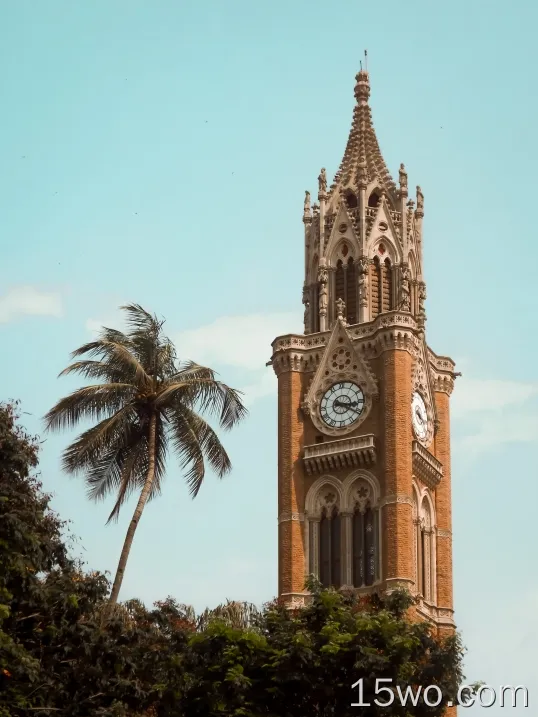 印度，孟买，晴朗的天空，棕榈树
