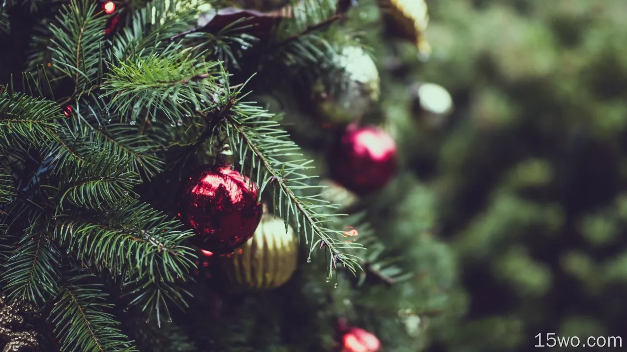 圣诞树，装饰品，特写，模糊