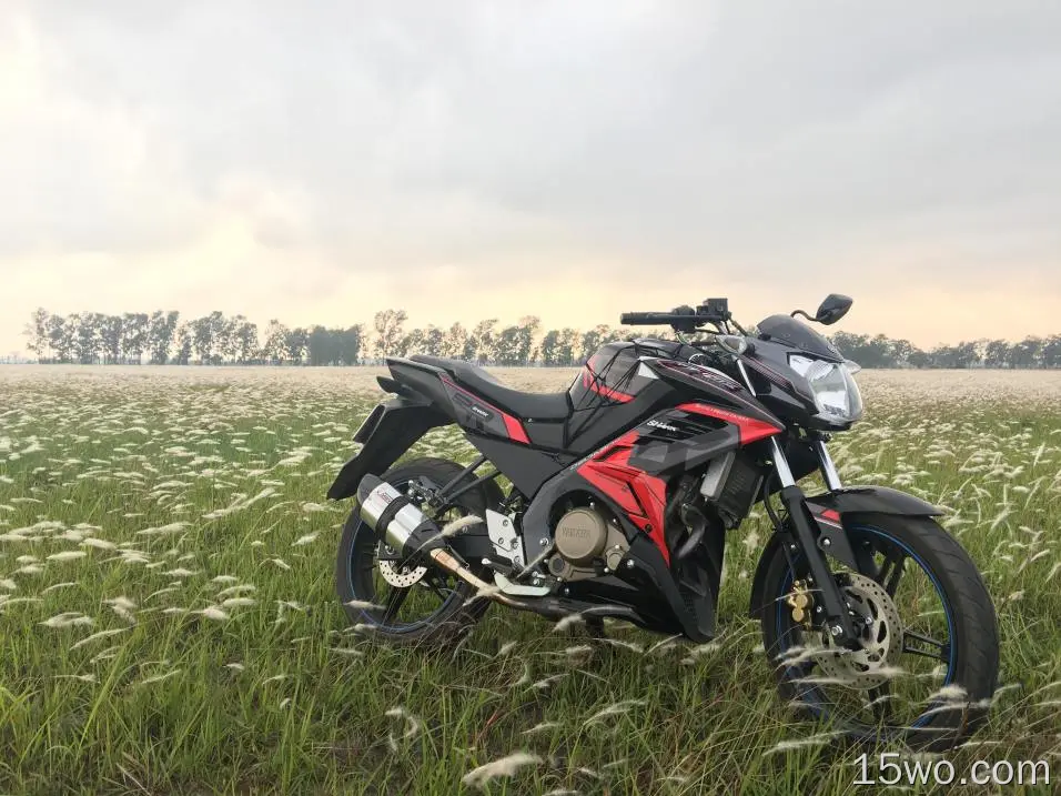 motorcycle, bike, sports, side view, field, grass
