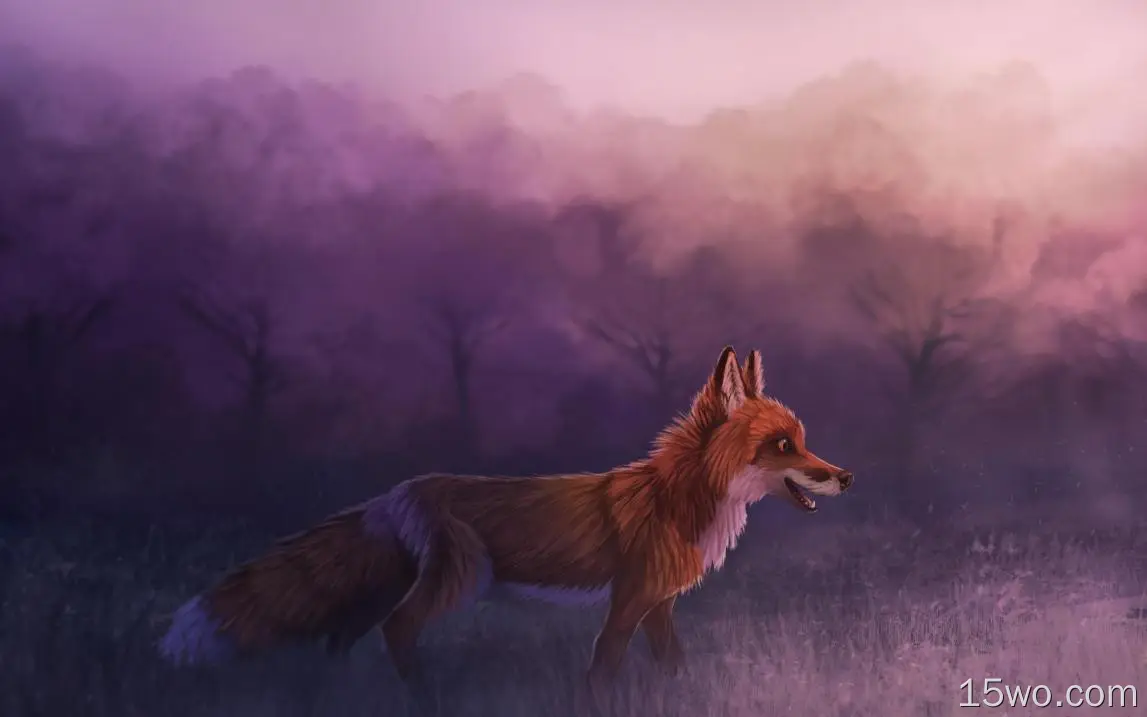 雾红狐狸