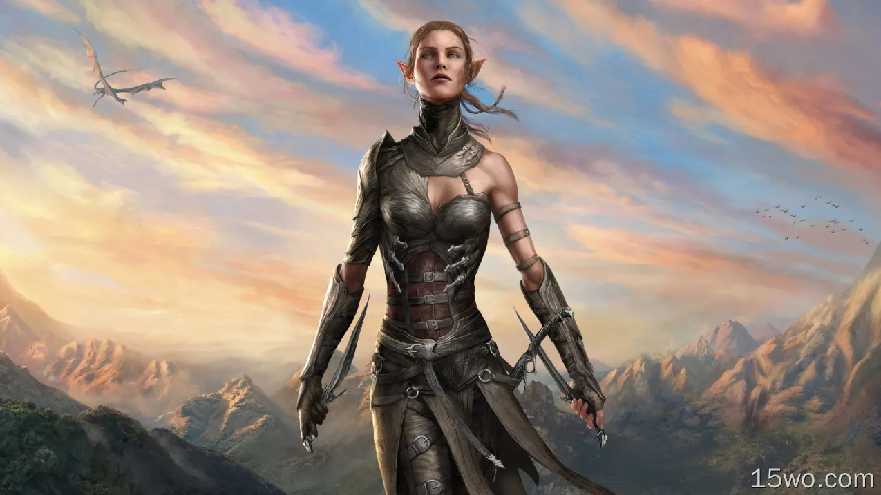 电子游戏 Divinity: Original Sin II Woman Warrior Dagger 龙 Pointed Ears Yellow Eyes 高清壁纸