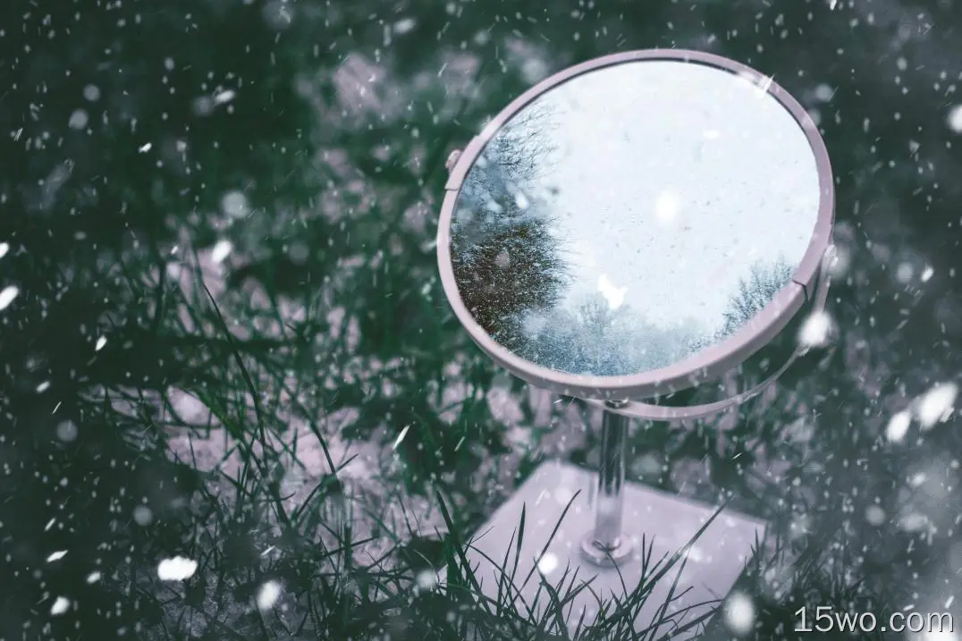 冰冻的镜子、倒影、雪、植物