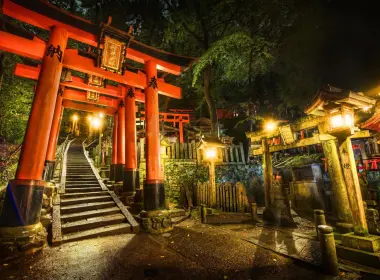 神社，牌坊，寺庙，日本，夜晚，灯光，大门 2560x1600