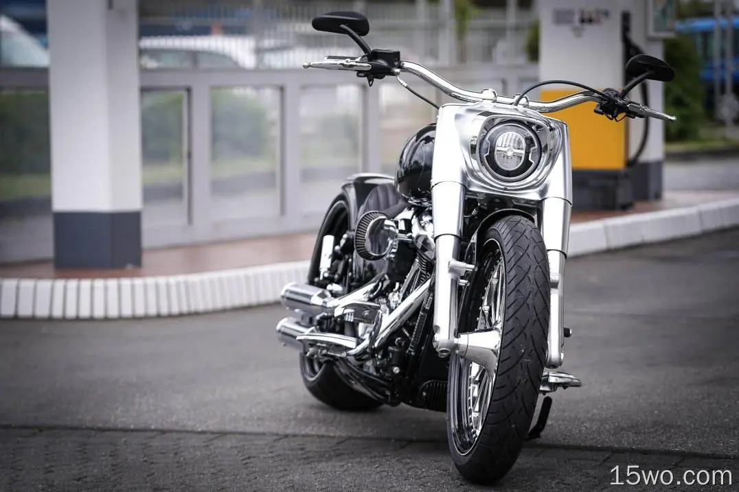 座驾 自制摩托车 摩托车 哈雷戴维森 Thunderbike Customs 高清壁纸