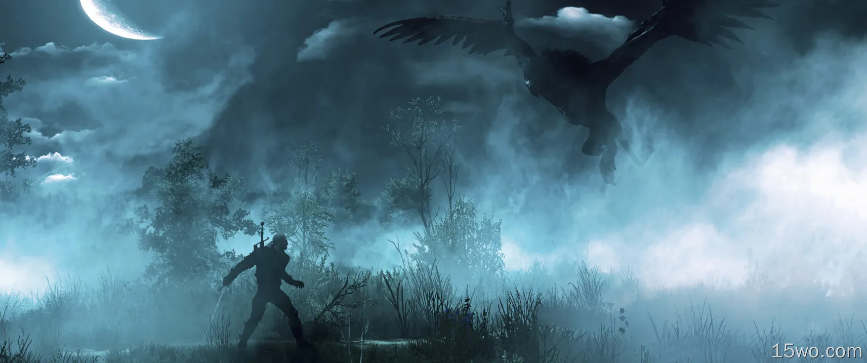 电子游戏 巫师3：狂猎 巫师 格里芬 月亮 夜晚 Geralt of Rivia 高清壁纸