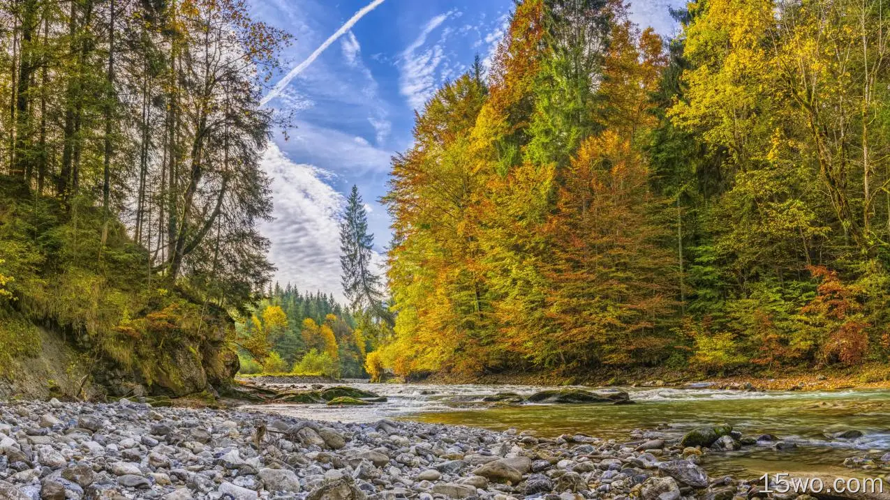 自然 河流 地球 秋季 森林 高清壁纸