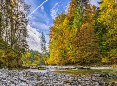 自然 河流 地球 秋季 森林 高清壁纸 7680x4320