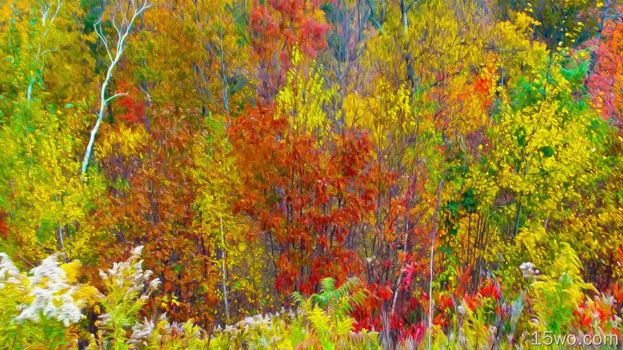 自然 秋季 艺术 树 Aspen 高清壁纸