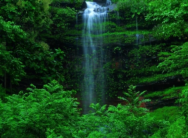 自然 瀑布 地球 森林 绿色 高清壁纸 3840x2160